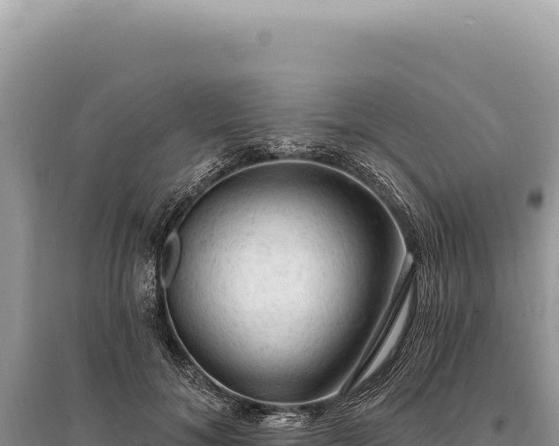 X0000095510700200712211240
