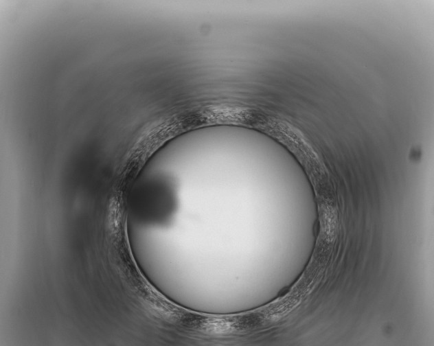 X0000095510701200712211240