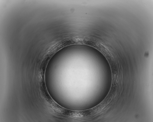 X0000095510702200712211240