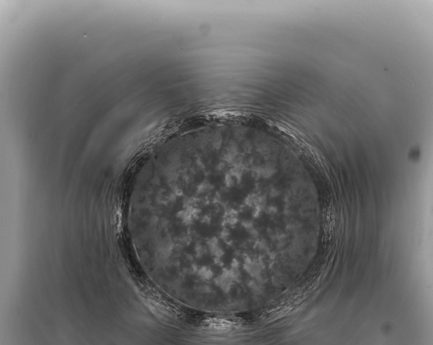 X0000095510703200712211240