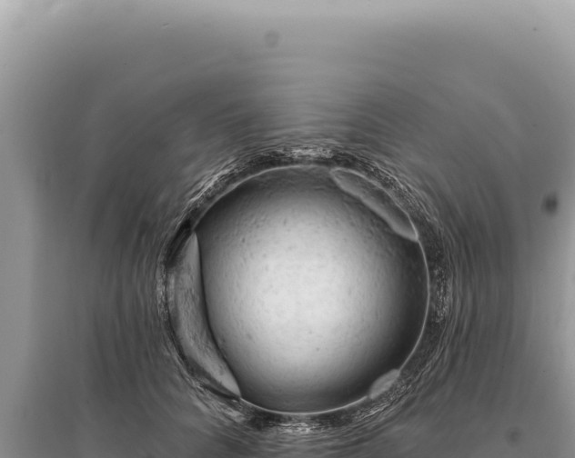 X0000095510704200712211240