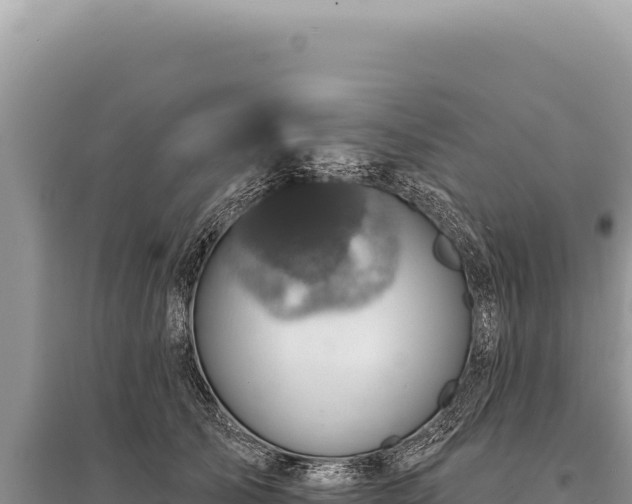 X0000095510705200712211240