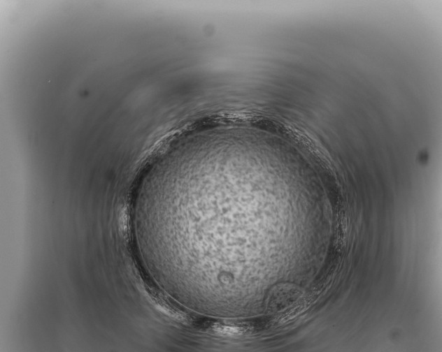X0000095510706200712211240