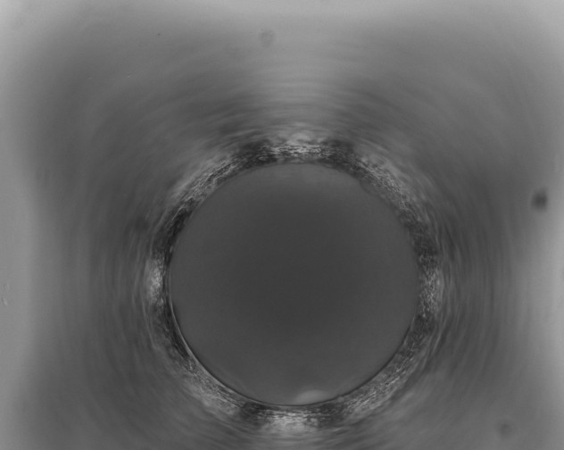 X0000095510709200712211240