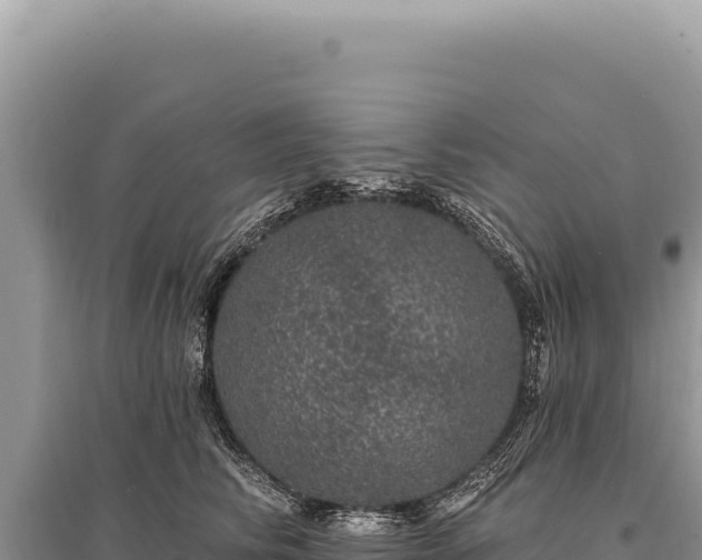 X0000095510710200712211240