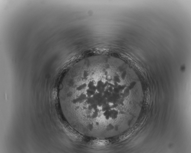 X0000095510711200712211240