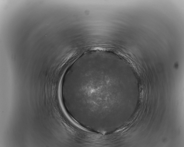 X0000095510712200712211240
