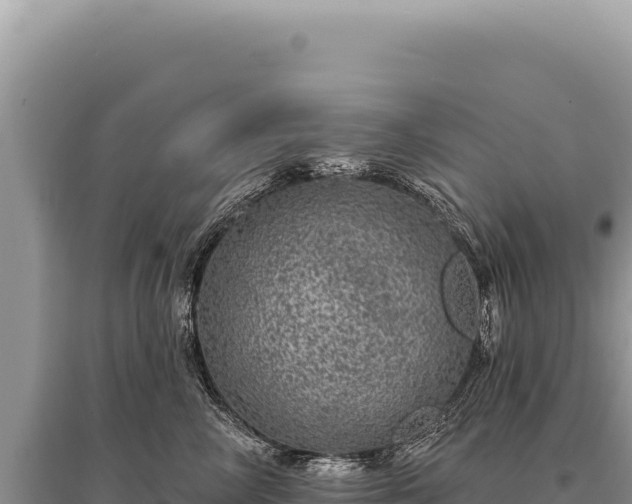 X0000095510714200712211240