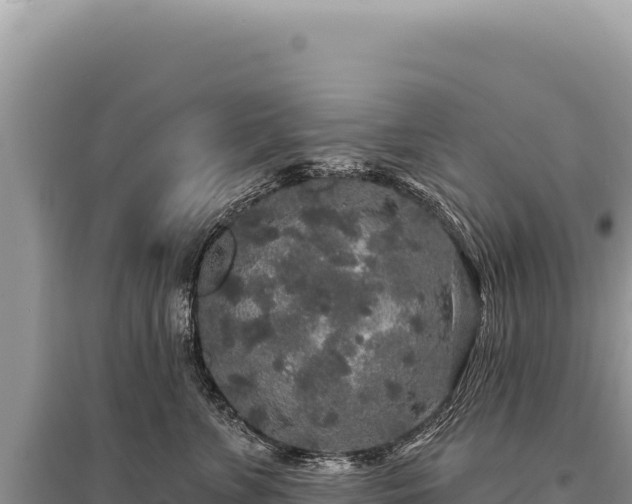 X0000095510715200712211240