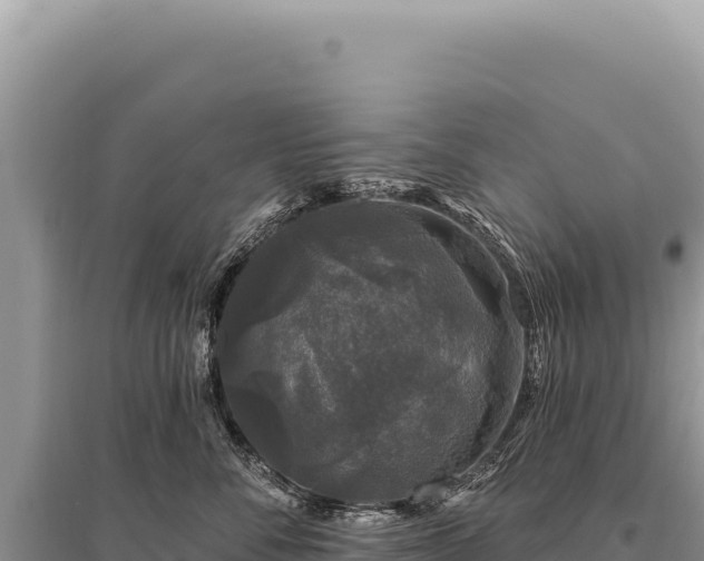 X0000095510716200712211240