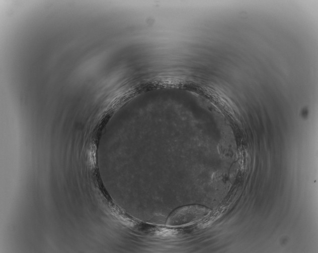 X0000095510718200712211240