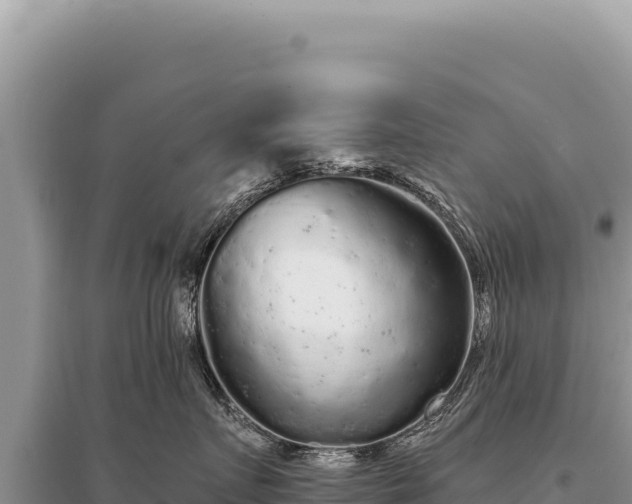 X0000095510719200712211240