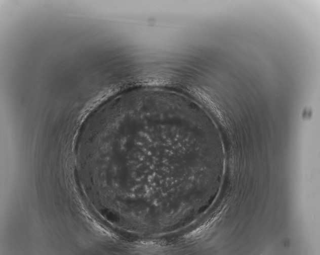 X0000095510721200712211239