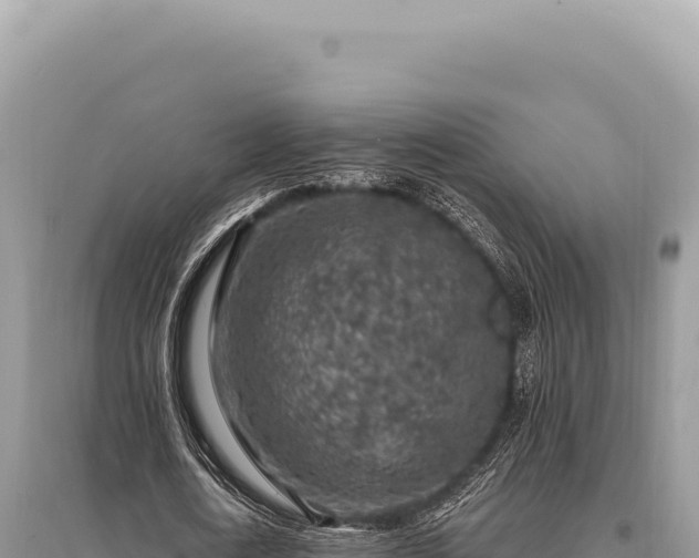 X0000095510722200712211239