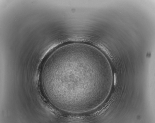 X0000095510723200712211239