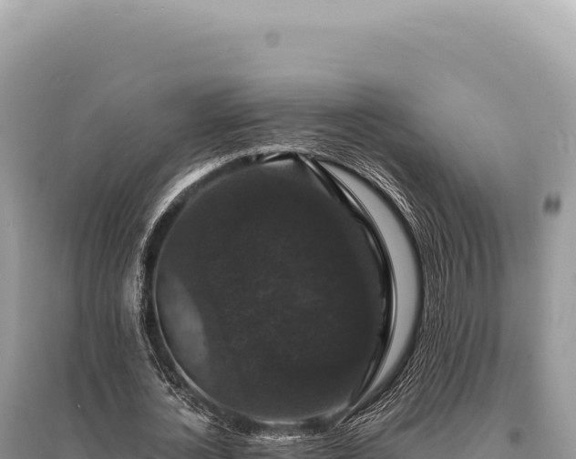 X0000095510724200712211239
