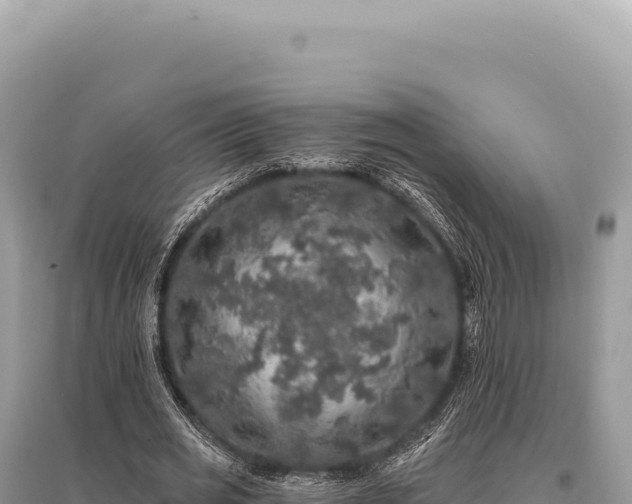 X0000095510725200712211239
