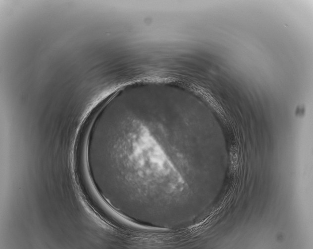 X0000095510726200712211239
