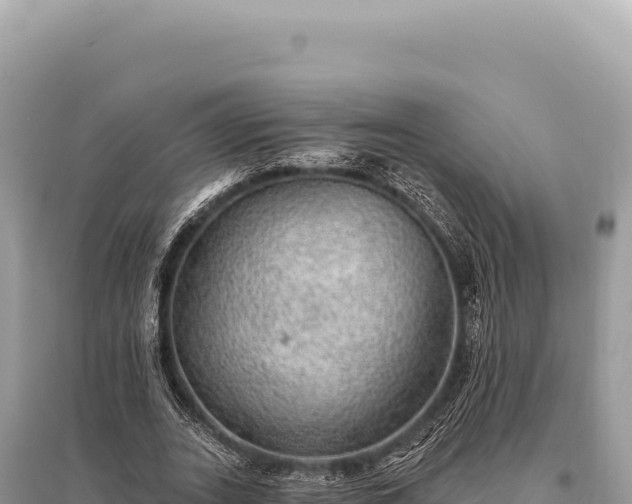 X0000095510727200712211239