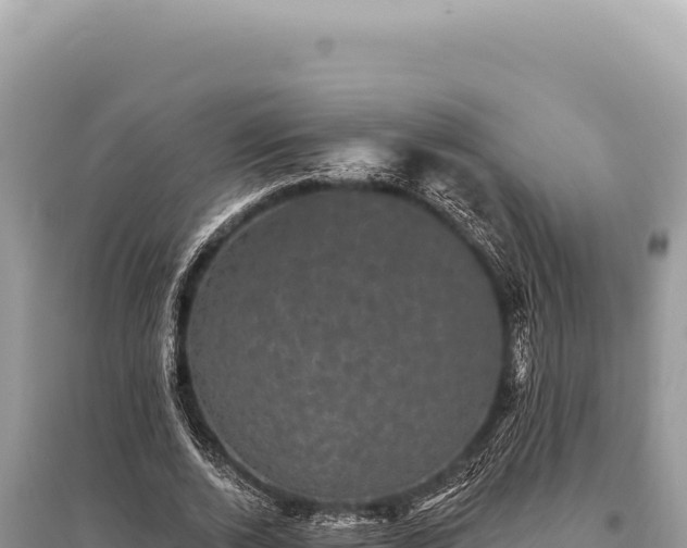 X0000095510728200712211239