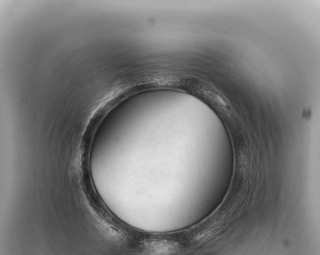 X0000095510730200712211239