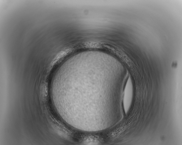 X0000095510731200712211239
