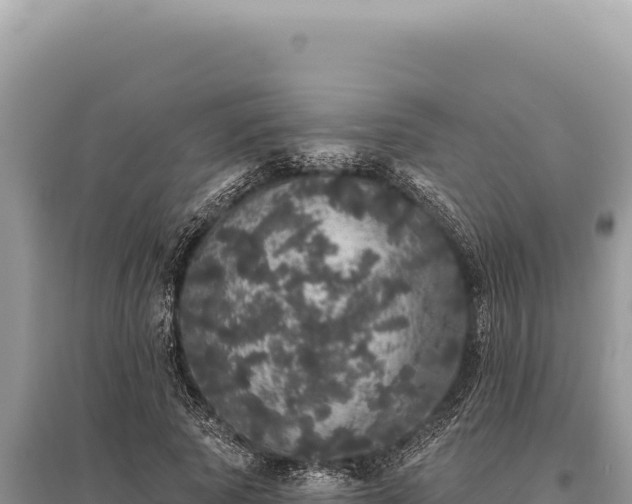 X0000095510737200712211239