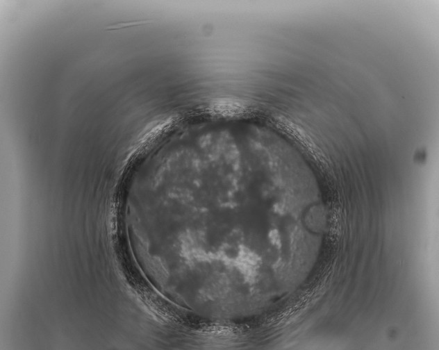 X0000095510738200712211239