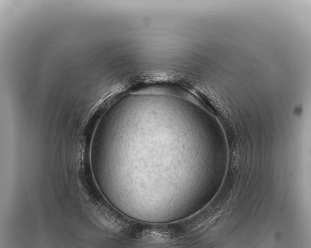 X0000095510739200712211239