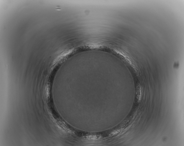 X0000095510740200712211240