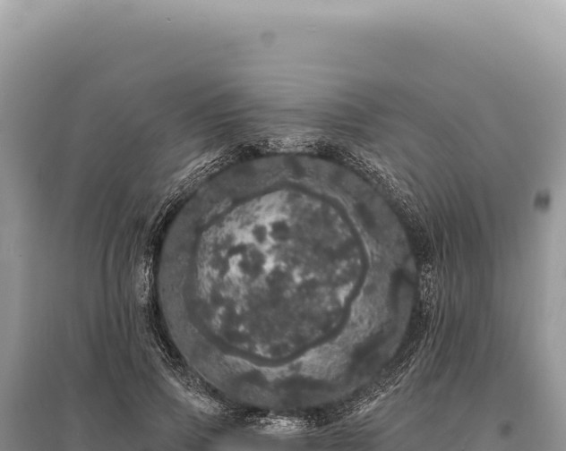 X0000095510741200712211240
