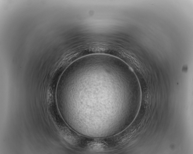 X0000095510743200712211240