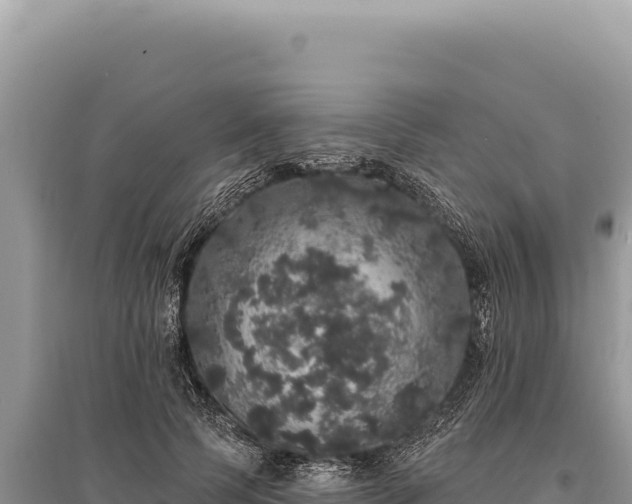 X0000095510745200712211240