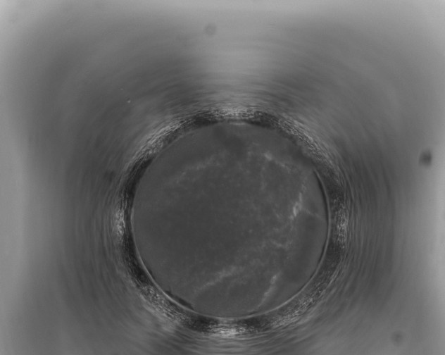 X0000095510746200712211240