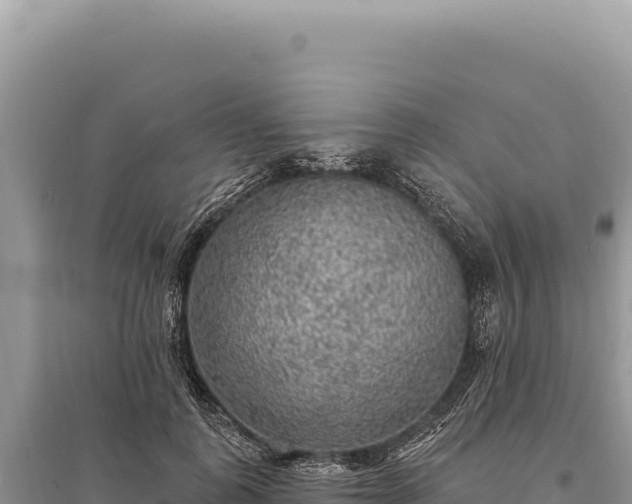 X0000095510747200712211240