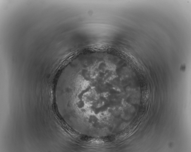 X0000095510749200712211240
