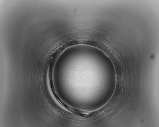 X0000095510750200712211240