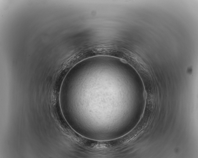 X0000095510751200712211240