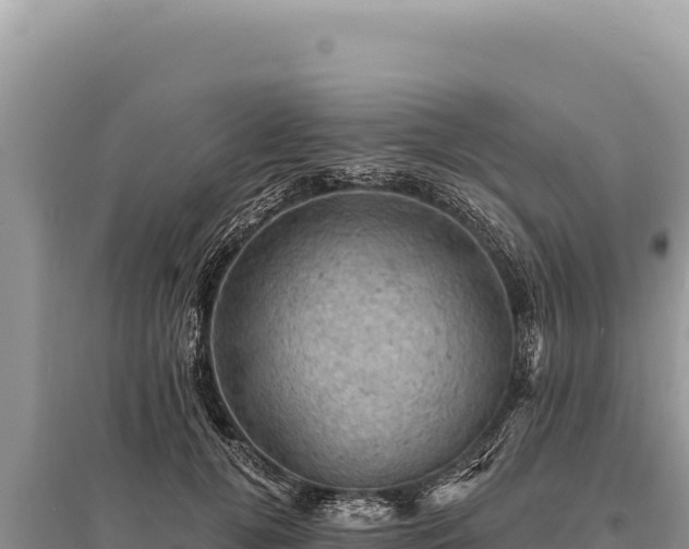 X0000095510752200712211240