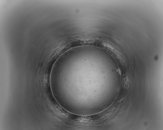 X0000095510756200712211240