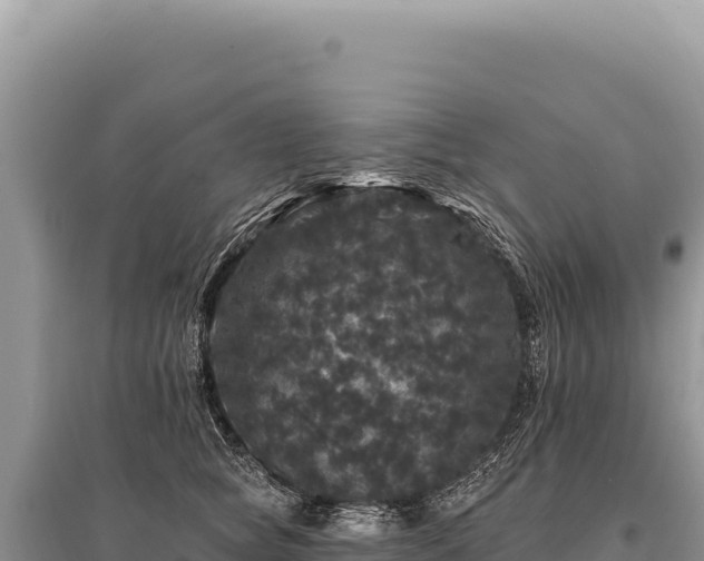 X0000095510757200712211240