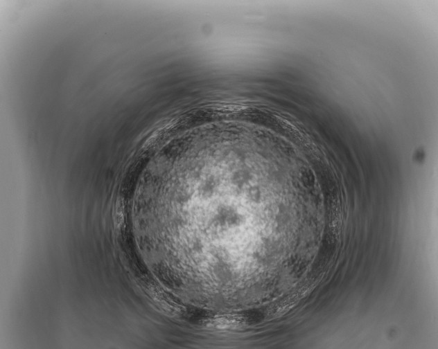 X0000095510758200712211240