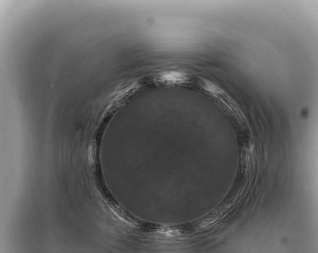 X0000095510760200712211240
