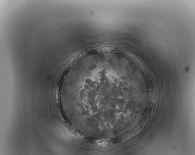 X0000095510761200712211240
