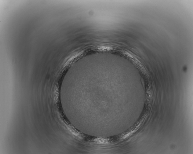 X0000095510762200712211240