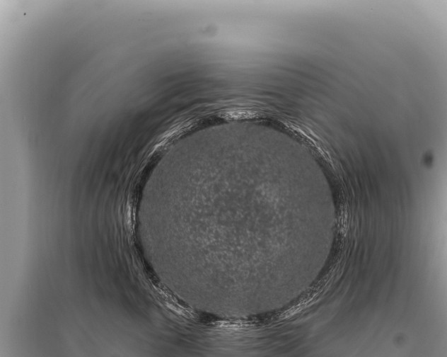 X0000095510763200712211240