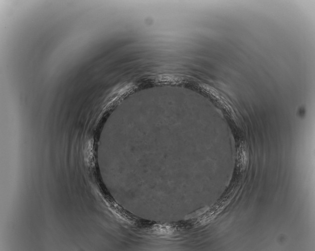 X0000095510764200712211240