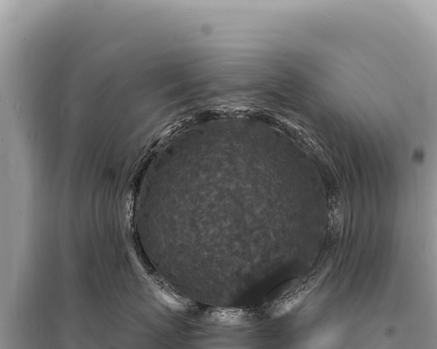 X0000095510767200712211240