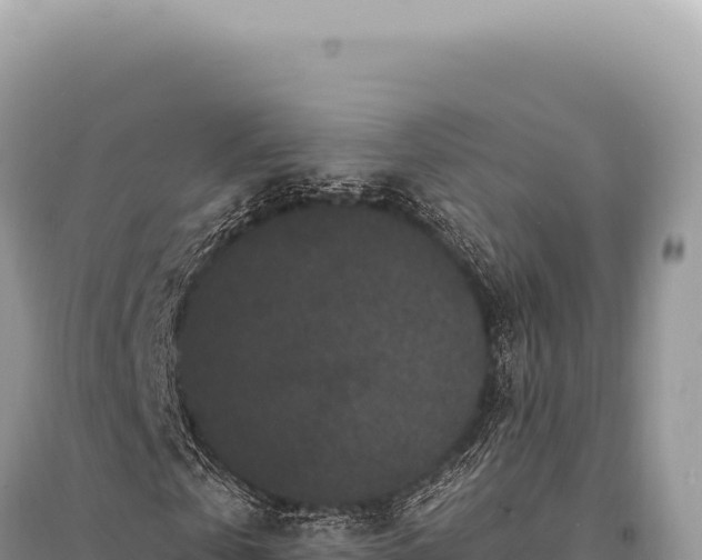 X0000095510769200712211239