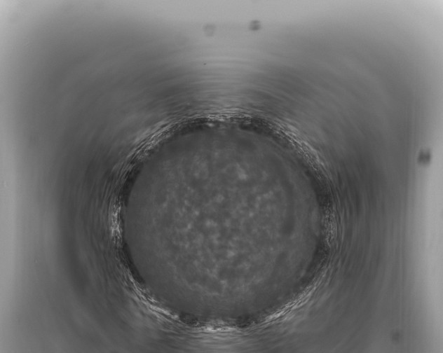 X0000095510770200712211239